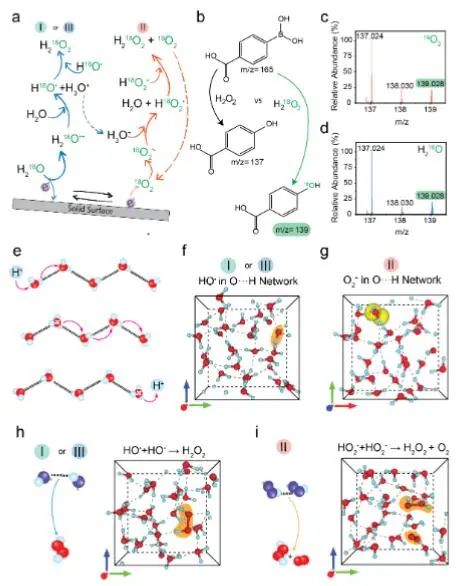 催化顶刊集锦：JACS、Angew.、Joule、AM、AFM、ACS Catal.、Nano Lett.等