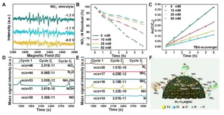 AM：调节Fe-N界面上的活性氢吸附，增强电催化NO3−还原的稳定性