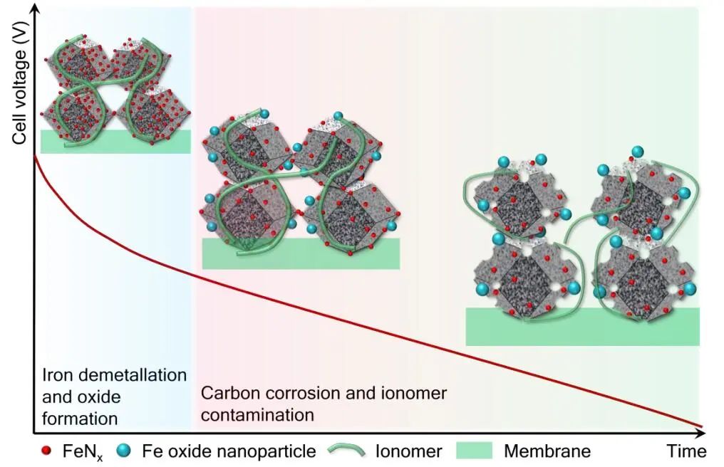 赵川教授EES：Fe-N-C催化剂在质子交换膜燃料电池中的降解机理