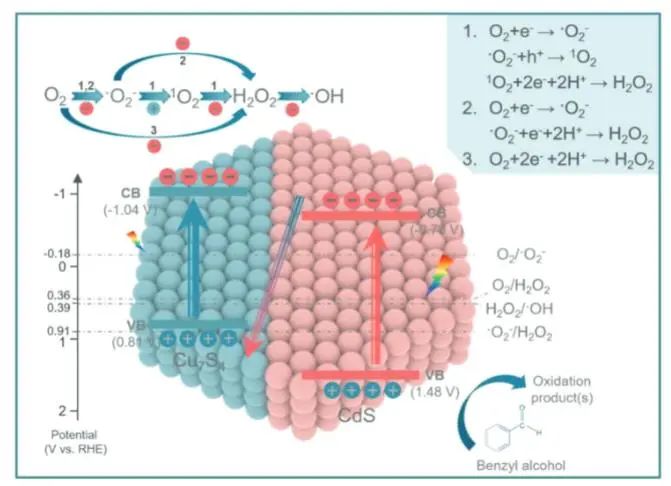 催化顶刊集锦：Nature子刊、Angew.、EES、AFM、ACS Nano等成果