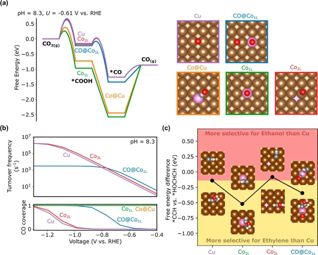 催化顶刊集锦：Nature子刊、Angew.、AFM、AM、Nano Energy、ACS Energy Lett.等！