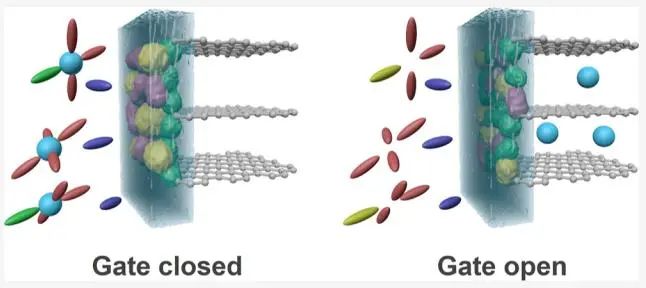 四单位联合​JACS：固体电解质界面的选择性离子传输