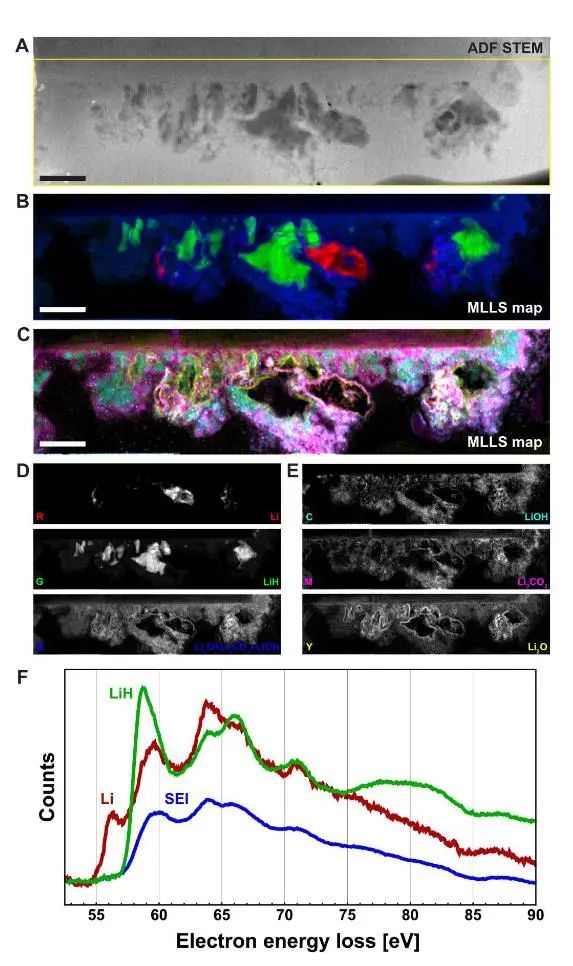 加州大学洛杉矶分校​Science子刊：原位表征液态电池SEI