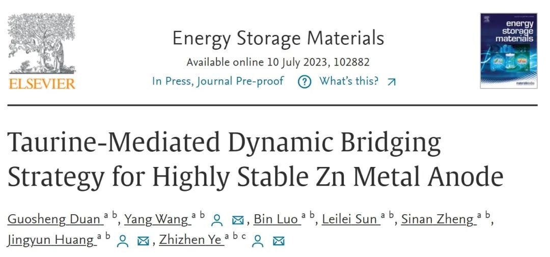 叶志镇/黄靖云/王勇EnSM：牛磺酸介导的动态桥接策略实现高稳定锌金属负极
