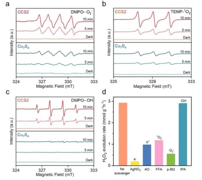 催化顶刊集锦：Nature子刊、Angew.、EES、AFM、ACS Nano等成果