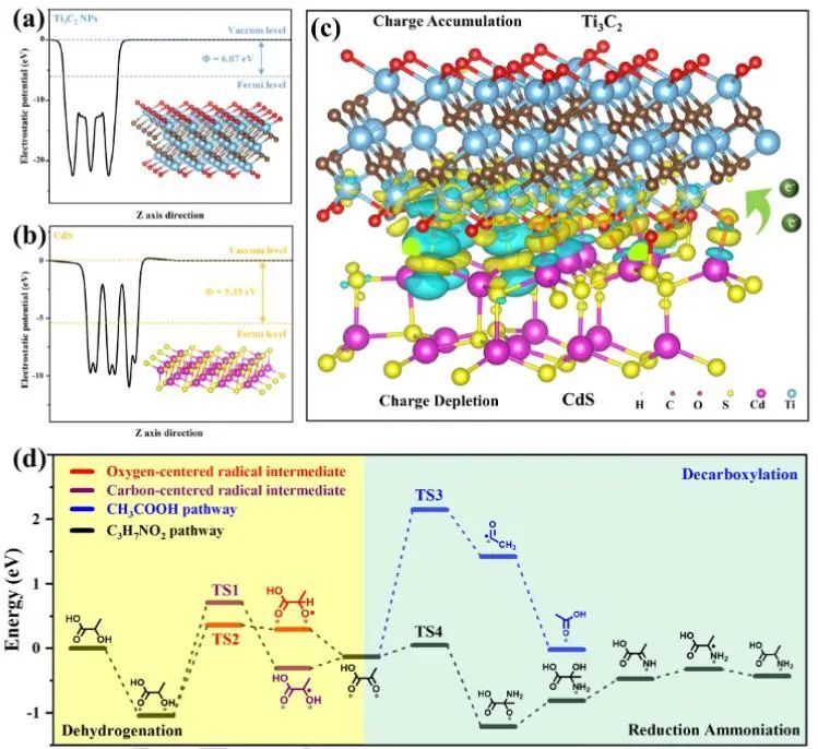 催化顶刊集锦：Angew.、EES、Chem、JACS、ACS Catal.、AFM、ACS Nano