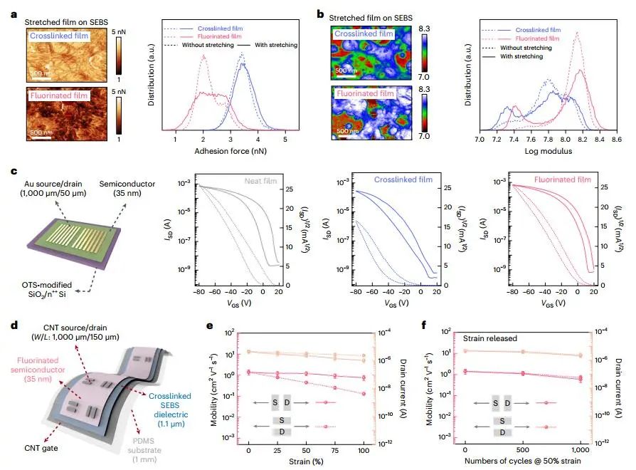 鲍哲南，最新Nature Nanotechnology！