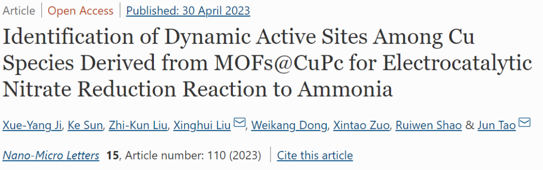 NML：鉴定NITRR中MOFs@CuPc上Cu的动态活性位点