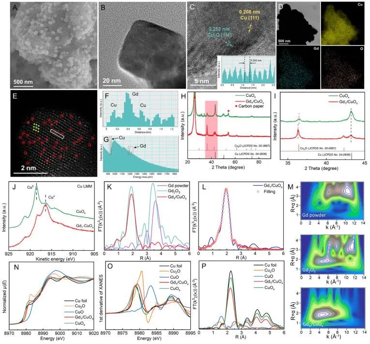 催化顶刊集锦：JACS、Angew.、AFM、ACS Catal.、Adv. Sci.、Small等成果