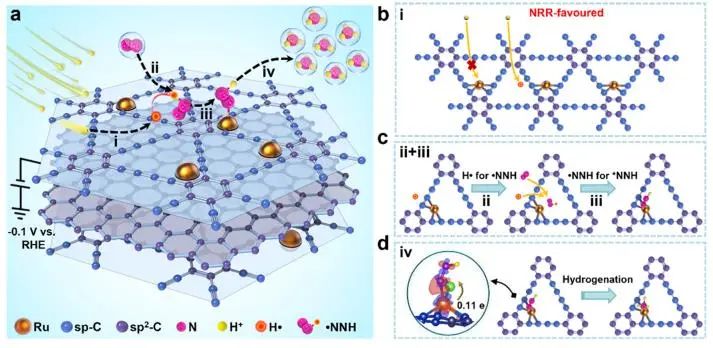 催化顶刊集锦：JACS、Angew.、AFM、ACS Catal.、Adv. Sci.、Small等成果