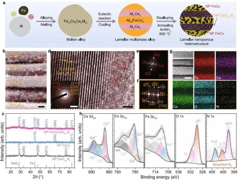 Nature子刊：3900 mA cm−2下亦稳定！纳米多孔FeCo/CeO2−xNx用于大电流下催化OER