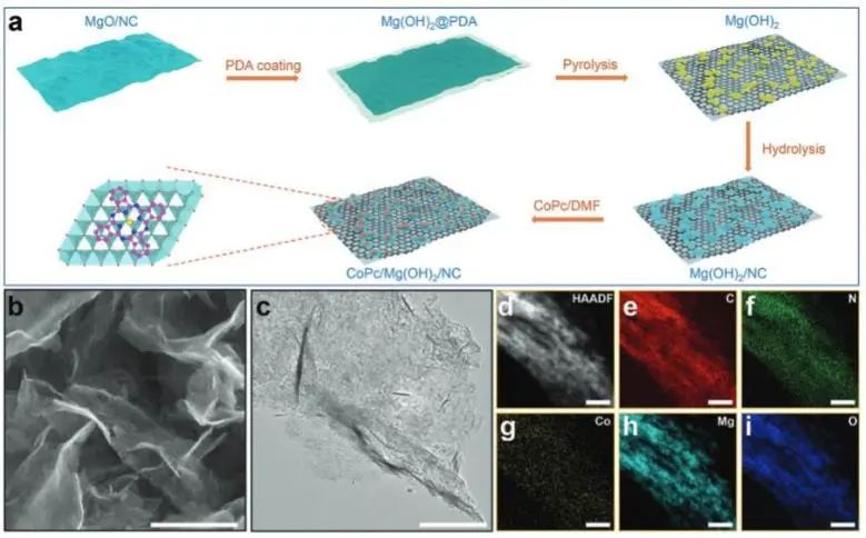 催化顶刊集锦：JACS、Angew、ACS Catal.、AFM、Adv. Sci.、Nano Lett.、Small等