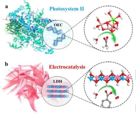 催化顶刊集锦：Angew.、JACS、AM、AFM、Small等成果精选！