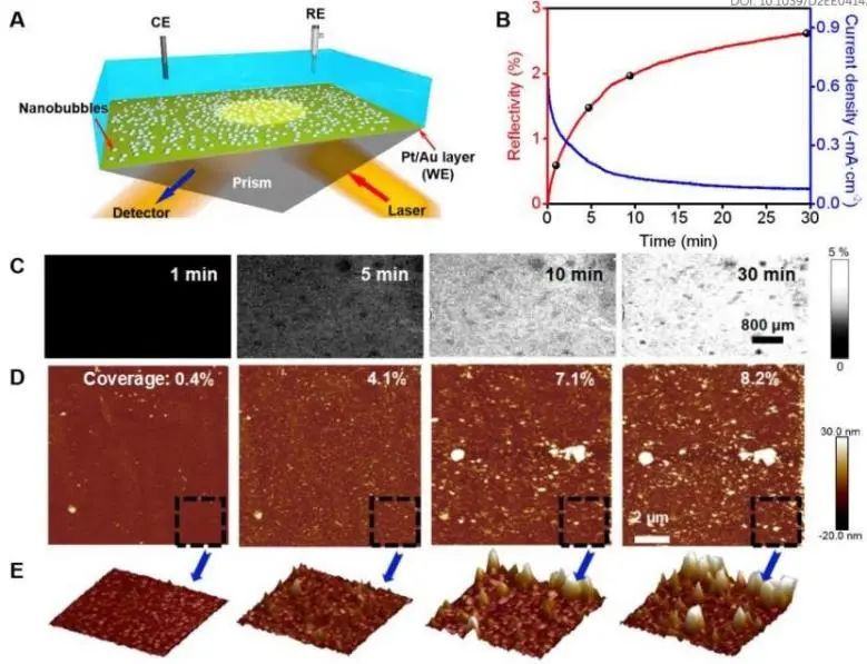 孙晓明/李晖/罗亮EES：探究电催化HER初始阶段界面纳米气泡的生长机制