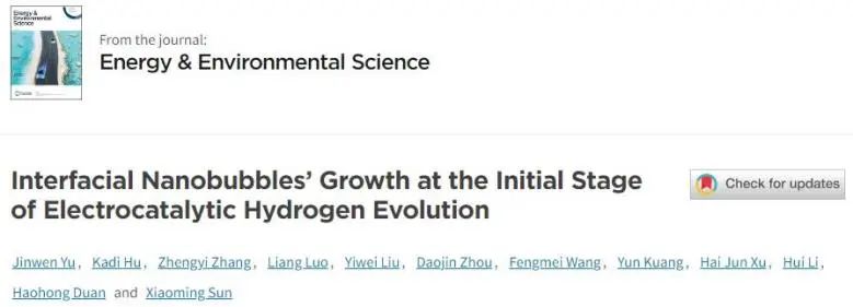 孙晓明/李晖/罗亮EES：探究电催化HER初始阶段界面纳米气泡的生长机制