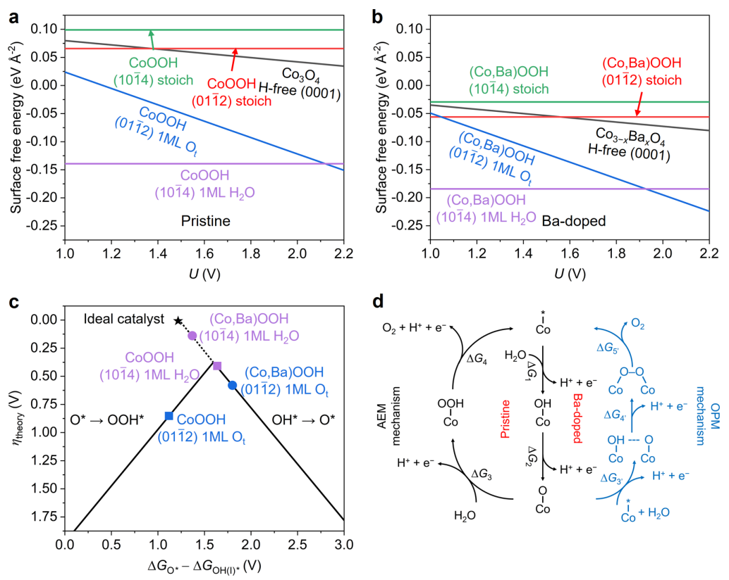 超燃！他发表第16篇Nature Catalysis，第36篇JACS！