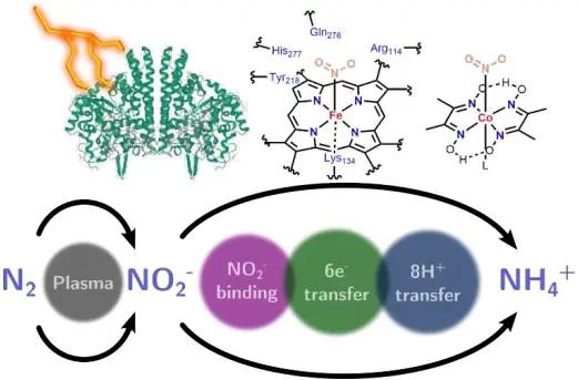 催化顶刊集锦：Nature、JACS、EES、ACS Catal.、ACS Nano、Small等成果精选！