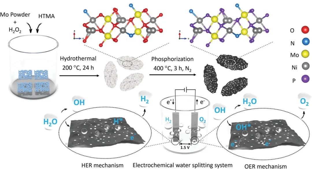 催化顶刊集锦：JACS、ACS Catalysis、Small、JMCA、CEJ、Angew、Carbon Energy等成果