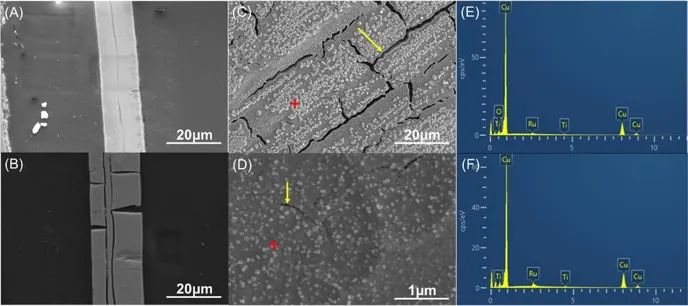 催化顶刊集锦：JACS、ACS Catalysis、Small、JMCA、CEJ、Angew、Carbon Energy等成果