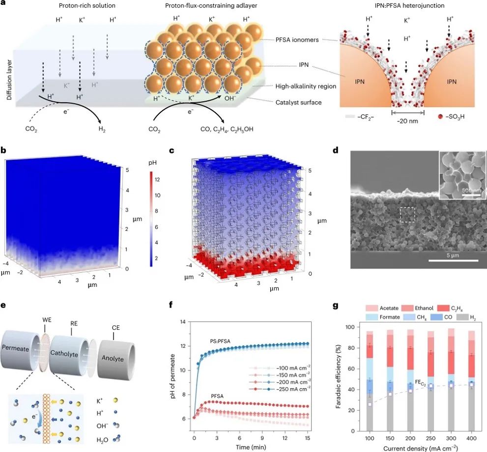 David Sinton&李逢旺，最新Nature Synthesis！