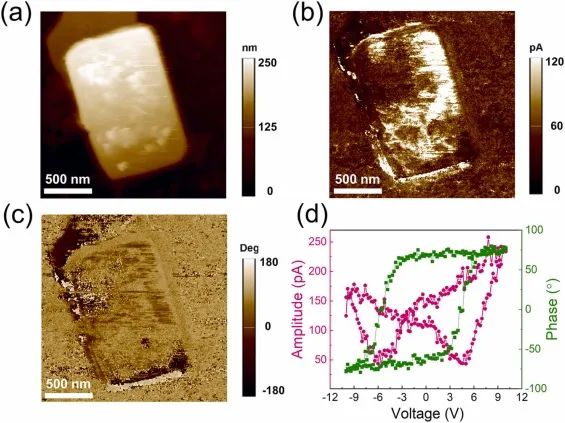 ​苏黎世联邦理工Nano Energy: 调节Bi4Ti3O12纳米片中的氧空位以提高压电光催化活性