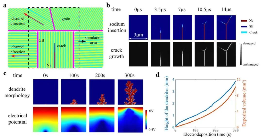 黄建宇/唐永福EES：氧化铝基全固态钠金属电池中枝晶生长的形态动力学