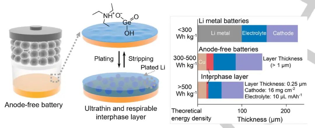 彭慧胜/孙浩Angew.：基于超薄可呼吸界面层的无负极锂金属电池