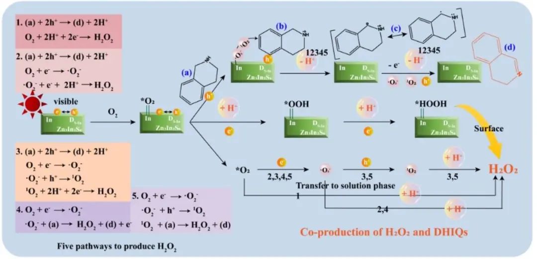 上硅所/华东师大AM：缺陷Zn3In2S6光催化生产二氢异喹啉和H2O2