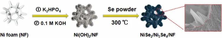 催化顶刊集锦：Nature、JACS、Nano Energy、ACS Catal.、Chem. Eng. J.等成果