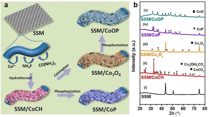 8篇催化顶刊：EES、Small、Adv. Sci.、JMCA、Nano Energy、Chem. Eng. J.等最新成果