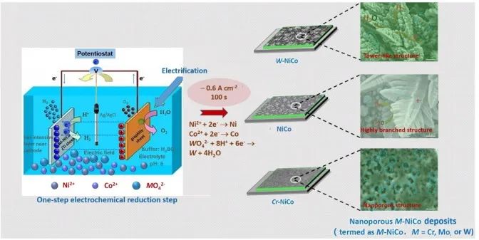 重大张云怀、肖鹏Chem. Eng. J.：掺杂有妙用，调控结构和电子结构促进Ni-Co合金电催化HER