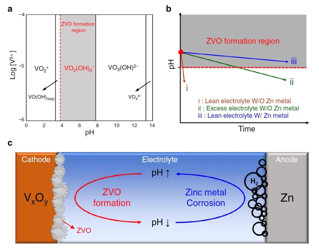 Nature子刊：揭秘钒氧化物基水系锌离子电池寿命有限的根源