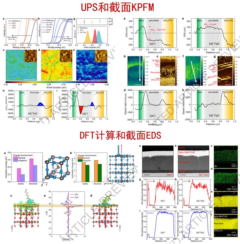 精彩绝伦！‘钙帮’围攻光明顶：五行八卦掌发Nature，降龙十八掌发Science！