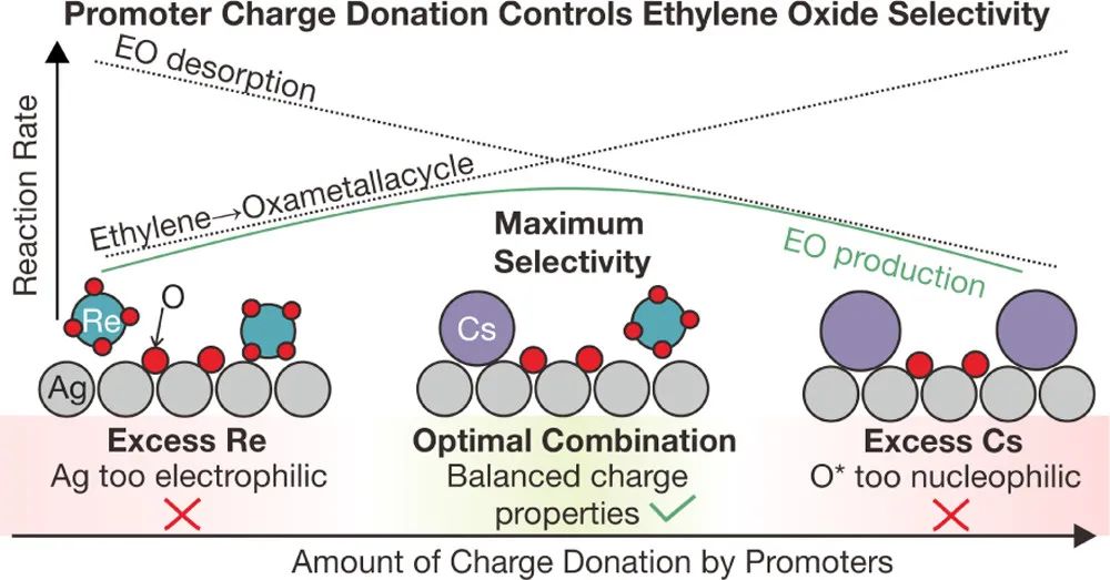 机器学习，顶刊精选：Nature、ACS Catalysis、JMCA、ACS AMI、ES&T等成果