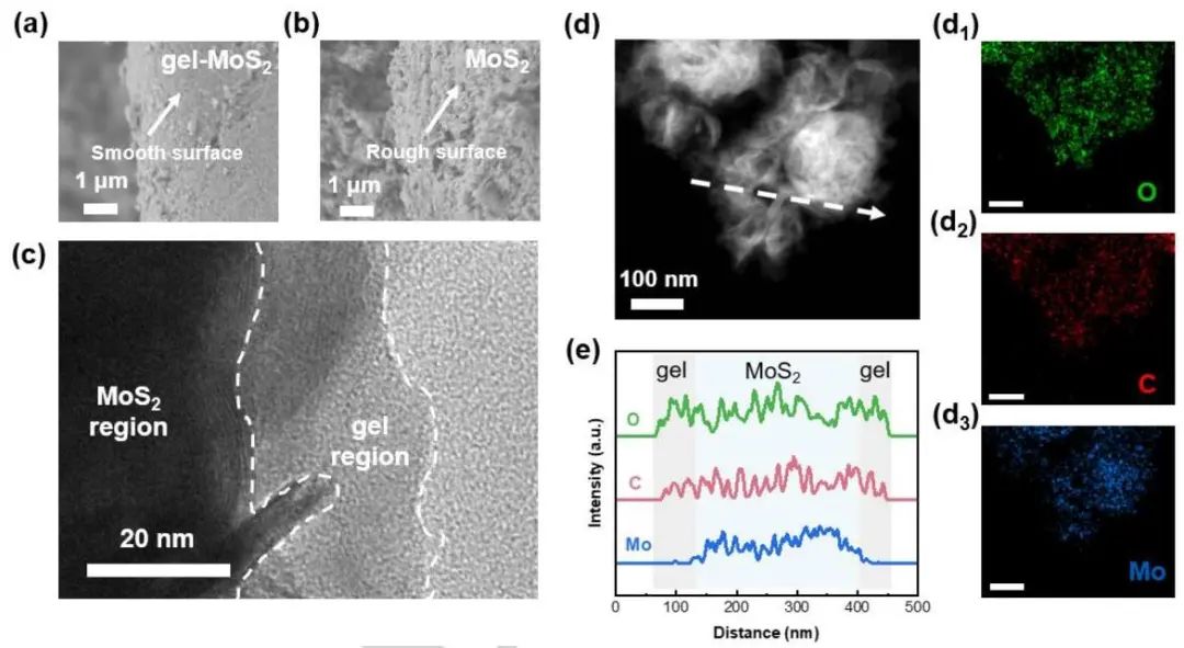 张强团队一天两篇顶刊，连发JACS、Angew.！