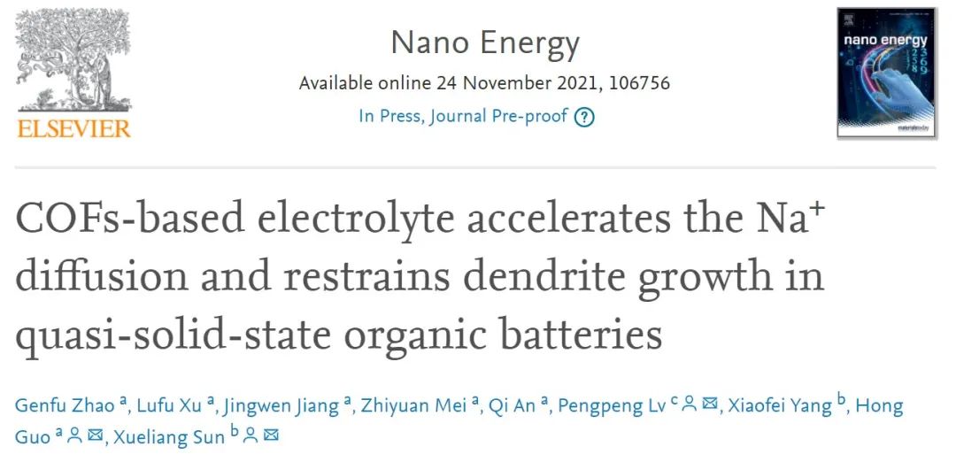 孙学良院士/郭洪/吕鹏鹏Nano Energy：功能化COF基电解质加速Na+扩散并抑制枝晶生长