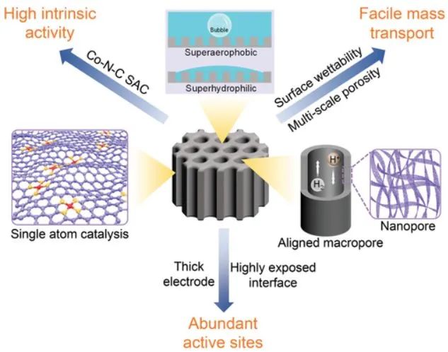 费慧龙/叶龚兰/董俊才AM: 单原子Co-N-C位点排列多孔碳膜用于高电流密度HER