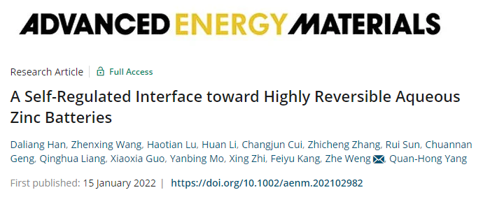 天大翁哲AEM：简单添加剂构筑自调节界面助力高效水系锌电池