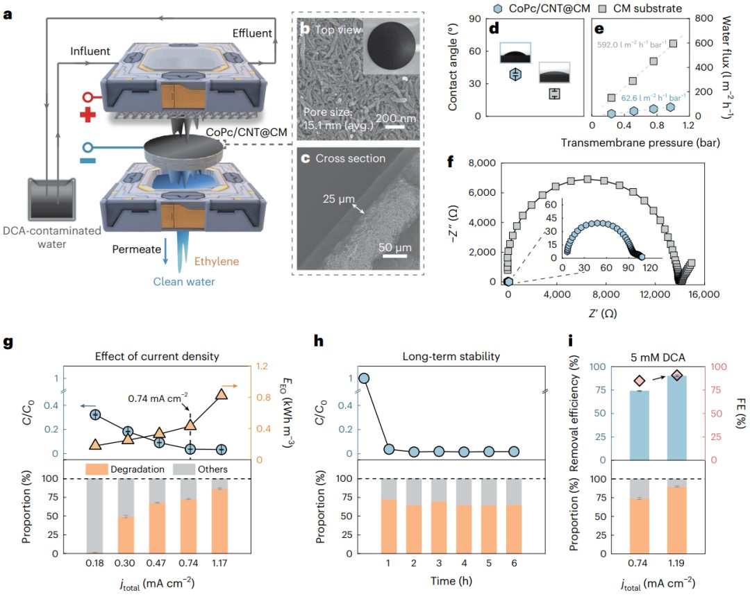 投稿到接收仅半年！耶鲁大学王海梁团队，最新Nature Nanotechnology！