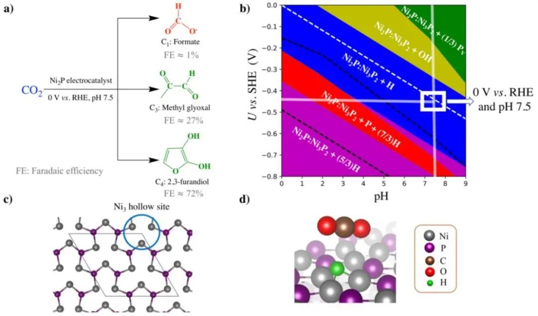 催化顶刊集锦：ACS Catalysis、Small、Nano Energy、NML、Appl. Catal. B.等成果