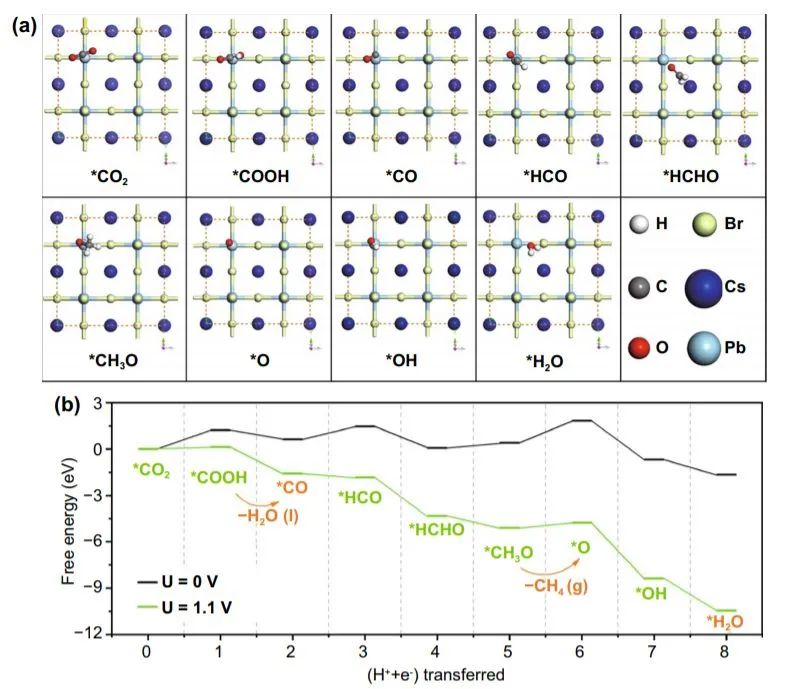 Nano-Micro Letters：超稳定水分散性CsPbBr3纳米晶体用于电催化CO2还原