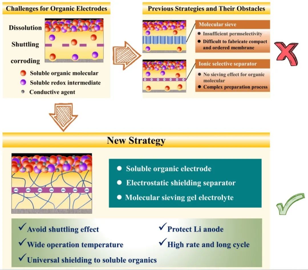天大许运华/杨继兴AM：长寿命、高倍率和全气候的有机锂离子电池！