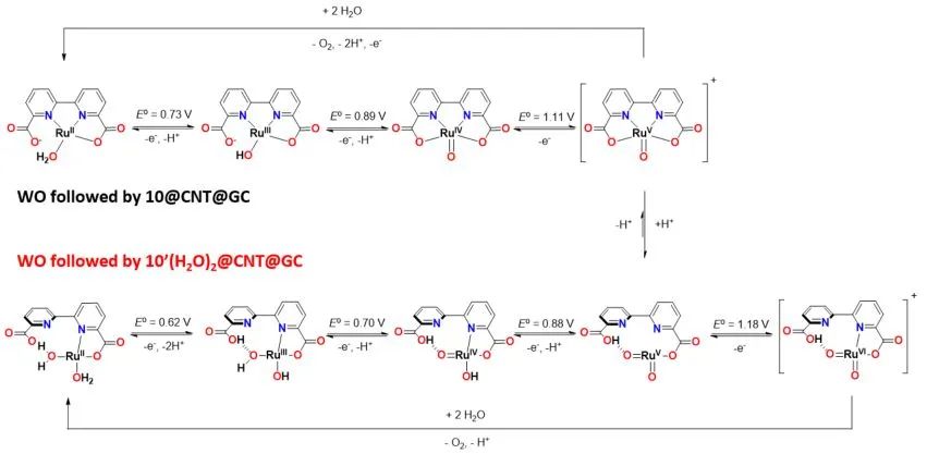 催化顶刊精选：JACS、ACS Energy Lett.、AFM、Appl. Catal. B.、Chem. Eng. J.