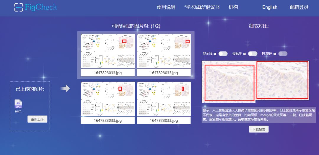 震惊！北京大学这篇24分的文章，竟如此“图片重复”