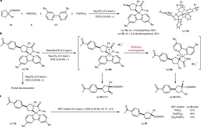 Nature Chemistry：传统就是用来打破的！基于Pd的异向重排