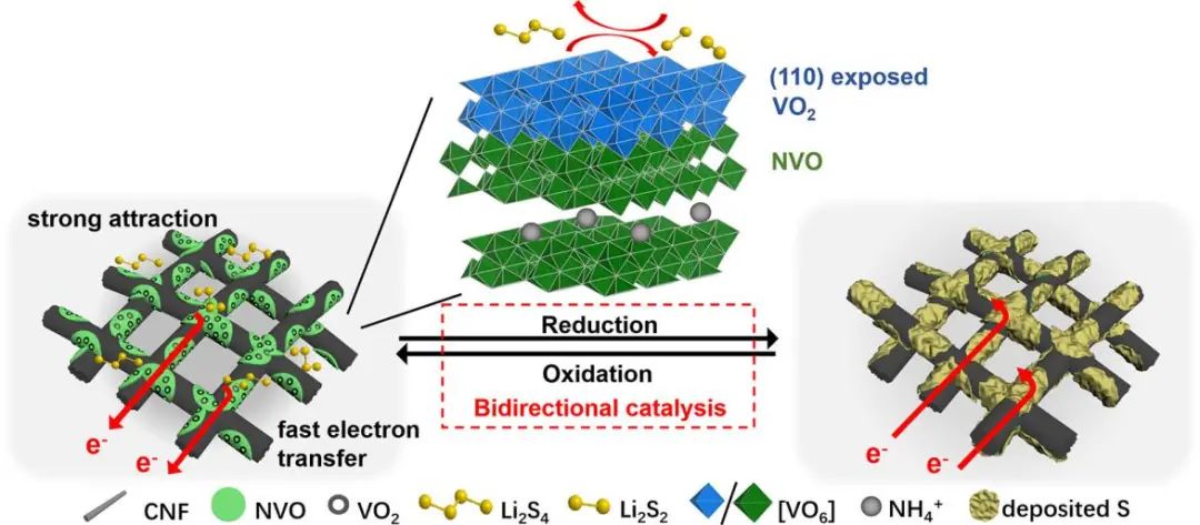 清华杨颖ACS Nano: （110）面占主导的VO2实现锂硫电池的双向电催化