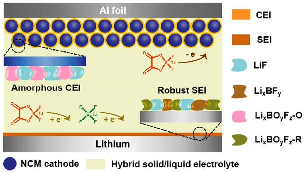 万立骏院士/郭玉国/石吉磊JACS: 用于高能锂金属电池的双界面非晶CEI/SEI保护层