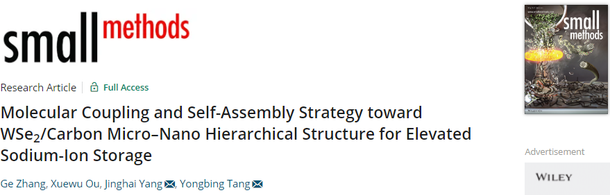 唐永炳/杨景海Small Methods：WSe2/碳微纳分级结构的分子偶联和自组装提高钠离子存储