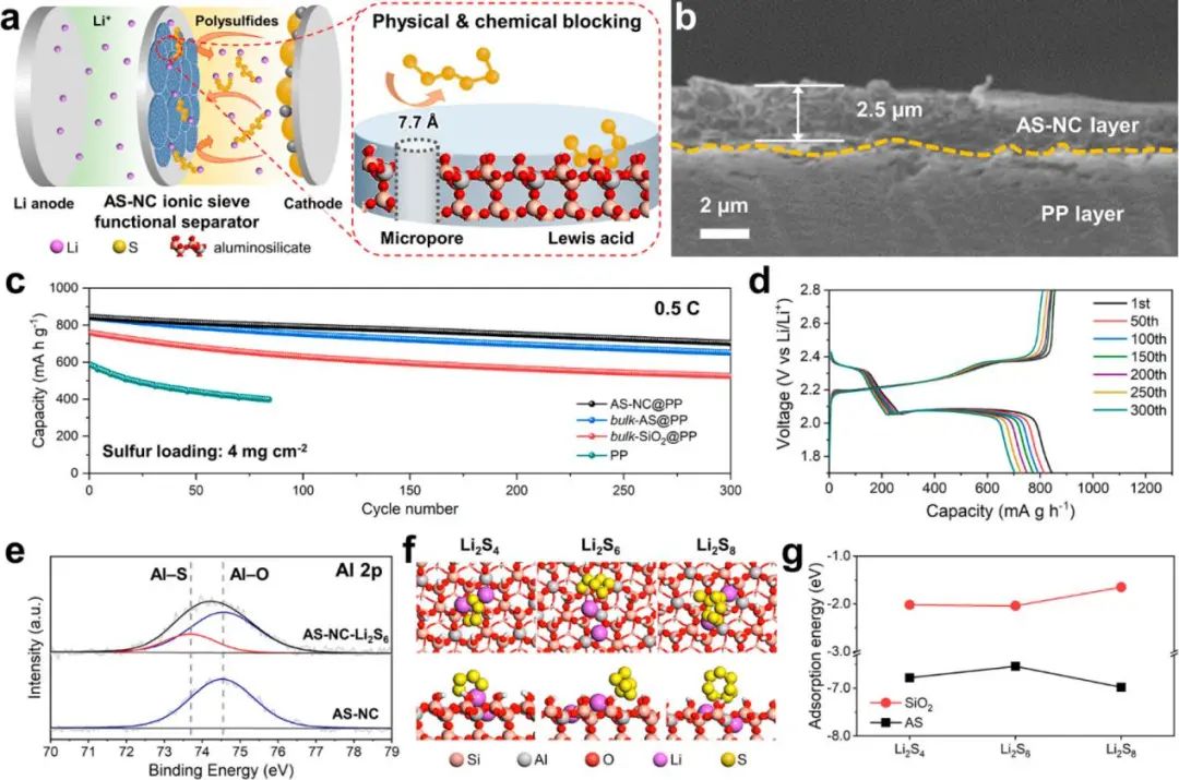 ​电池顶刊集锦！EES、AEM、AFM、JACS、ACS Nano、Small等最新成果速览