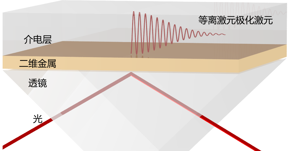 中科院物理所Physical Review Letters：二维金属中奇异的等离激元